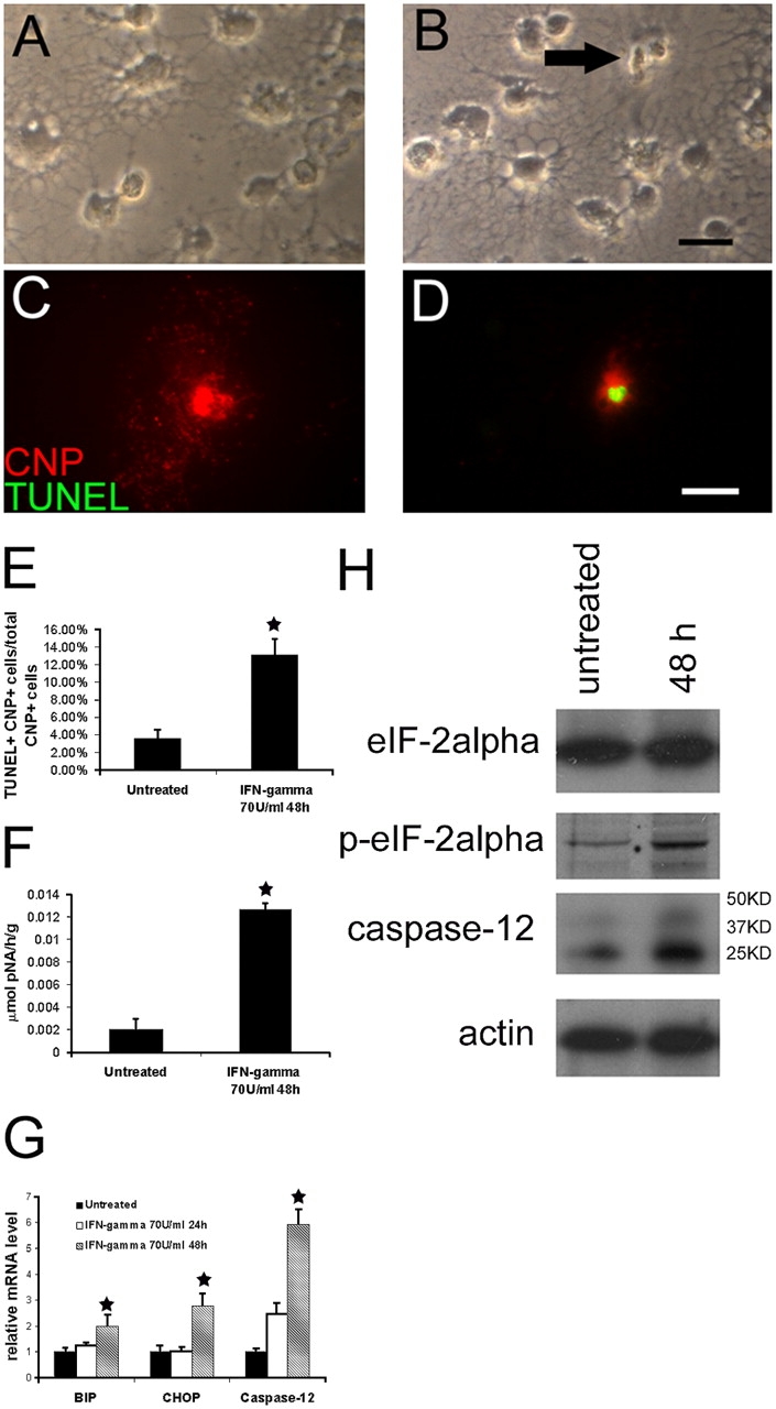 Figure from scientific paper